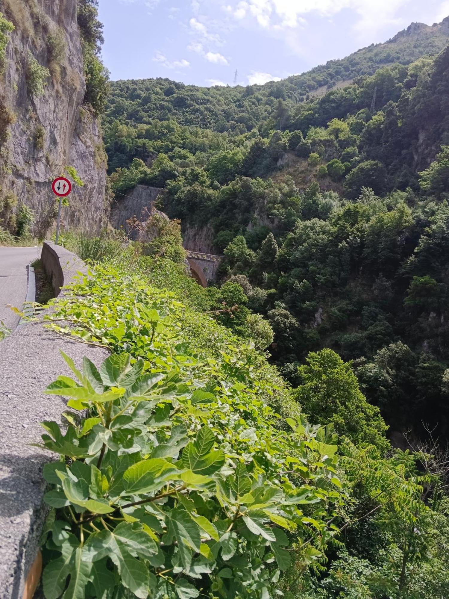 Villa Aurea Papasidero 외부 사진